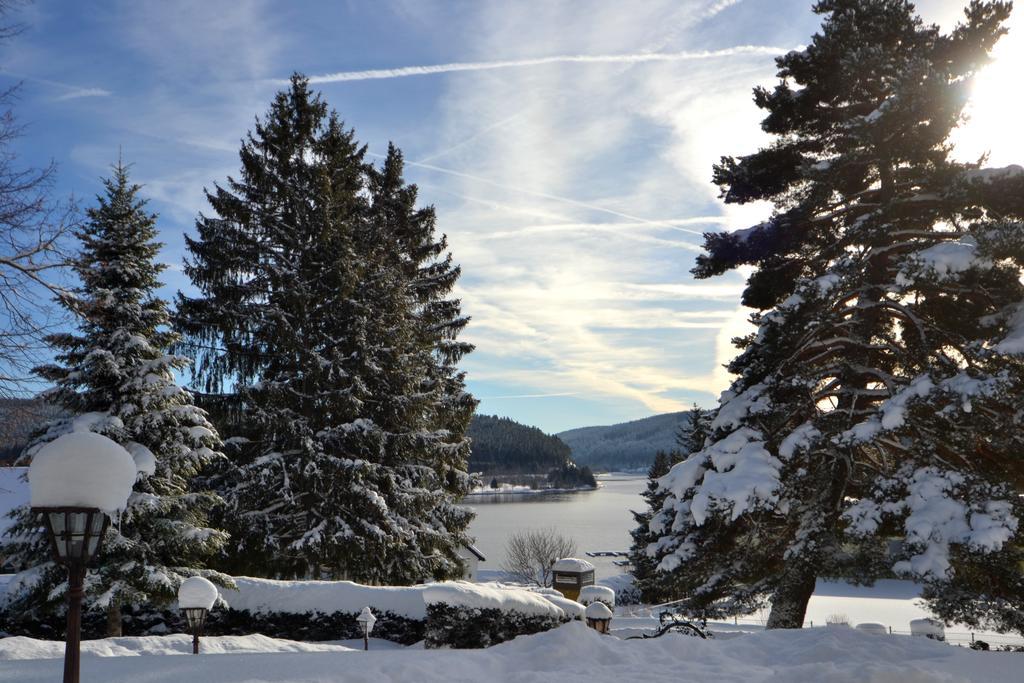 Schwarwald Apartment Schluchsee Kültér fotó